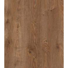 consectetuer adipiscing