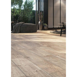 consectetuer adipiscing