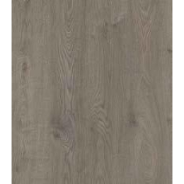 consectetuer adipiscing