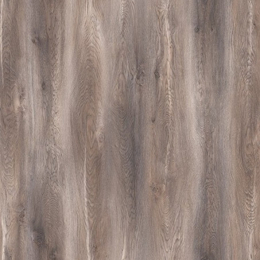 consectetuer adipiscing